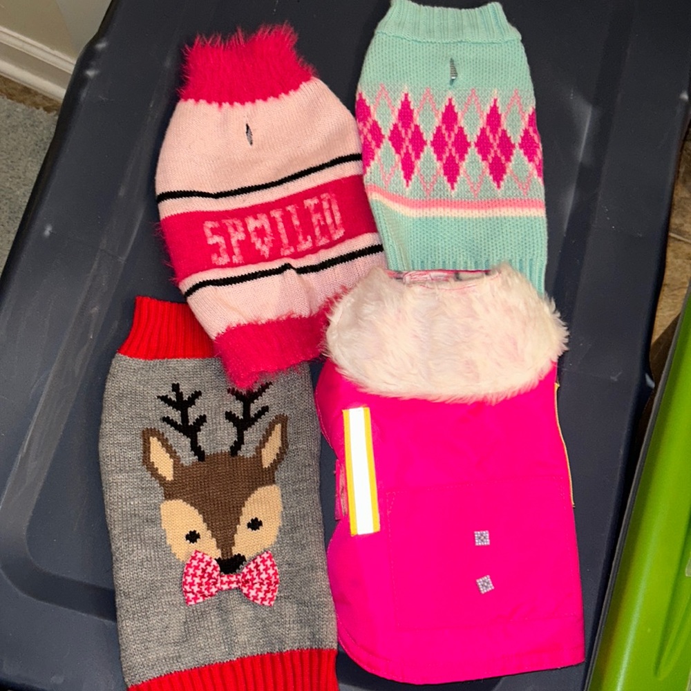 Small dog outfit bundle (4)